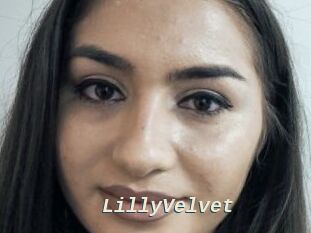 LillyVelvet