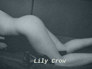 Lily_Crow