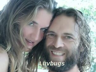 Luvbugs