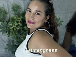 Laurengrass