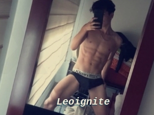 Leoignite