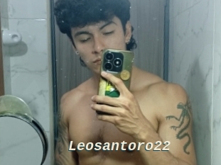 Leosantoro22