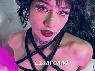 Liaaroadd