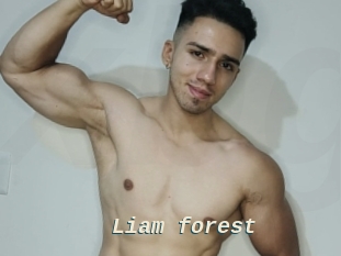 Liam_forest