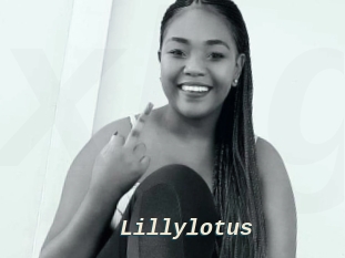 Lillylotus