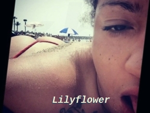Lilyflower