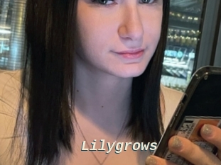 Lilygrows