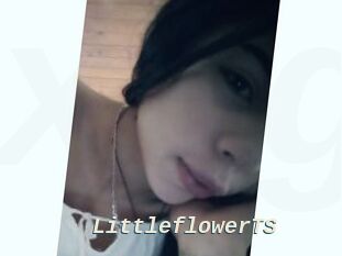 LittleflowerTS