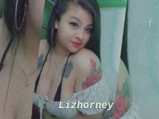 Lizhorney