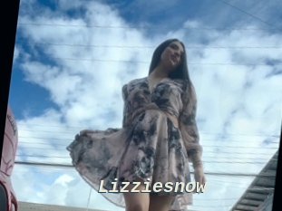 Lizziesnow