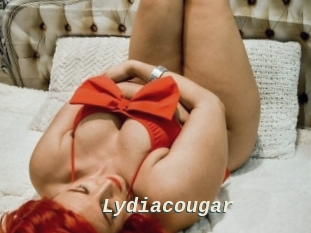Lydiacougar