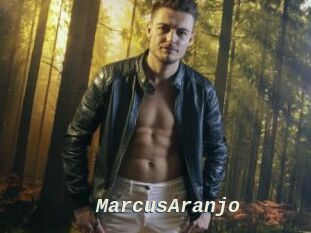 MarcusAranjo