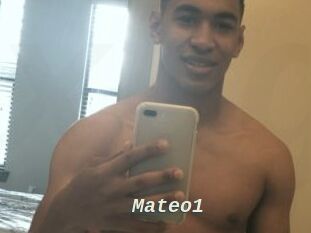 Mateo1
