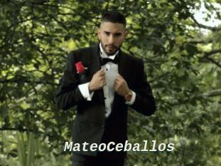 MateoCeballos