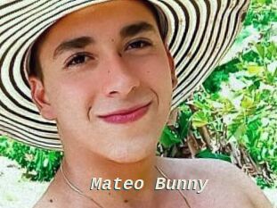 Mateo_Bunny