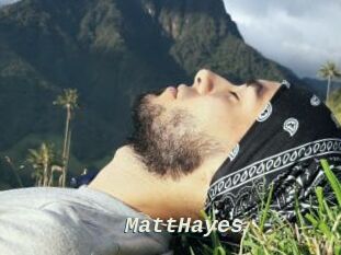 MattHayes