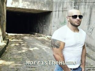 MorrisTheHumme