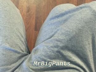 MrBigPants