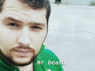 Mr_bear1