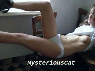 MysteriousCat