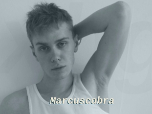 Marcuscobra