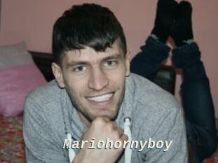 Mariohornyboy