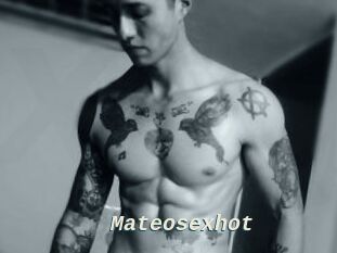Mateosexhot