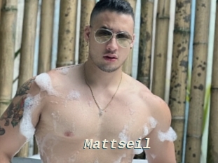 Mattseil