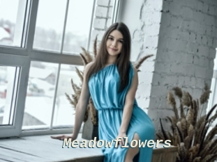 Meadowflowers