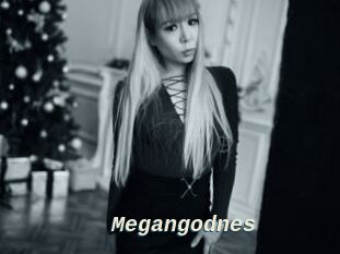 Megangodnes