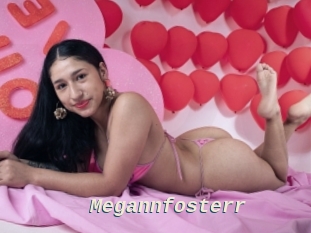 Megannfosterr