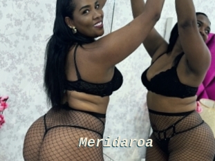 Meridaroa