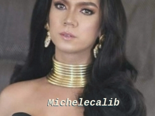 Michelecalib