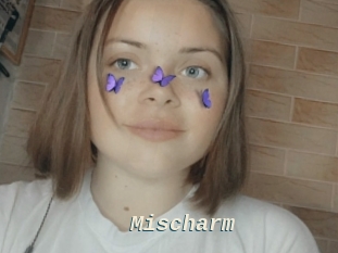 Mischarm