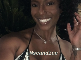 Mscandice