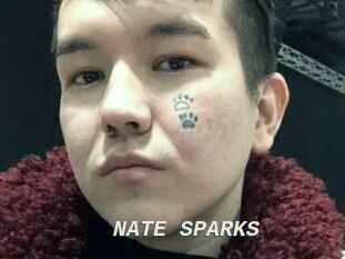 NATE_SPARKS