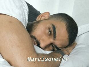 Narcisonefer