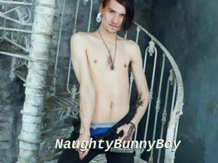 NaughtyBunnyBoy