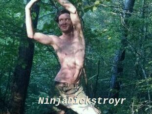 NinjaDickstroyr