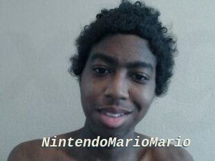 NintendoMarioMario