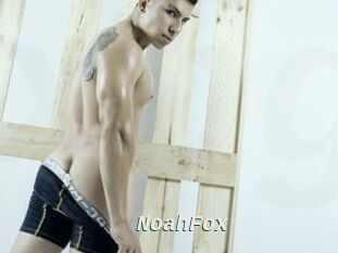 NoahFox