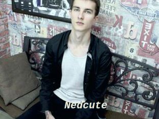 Nedcute