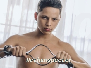 Nethanspecter