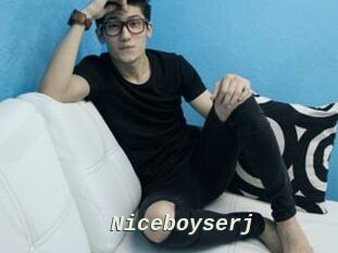Niceboyserj