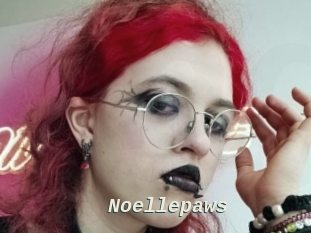 Noellepaws