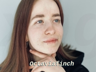 Octaviafinch