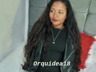Orquidea18