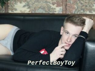 PerfectBoyToy