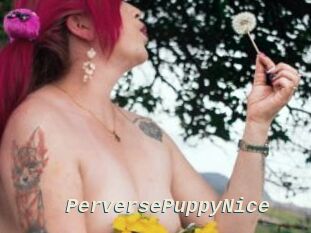 PerversePuppyNice