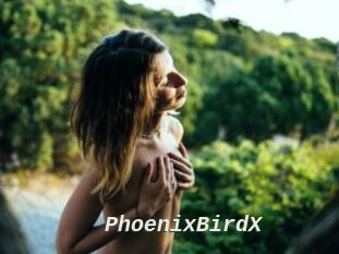 PhoenixBirdX